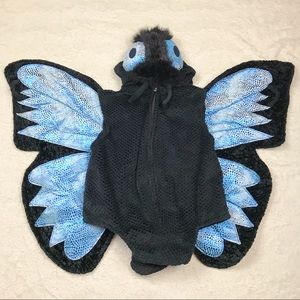 Blue Butterfly Kids Size 6-7 Costume